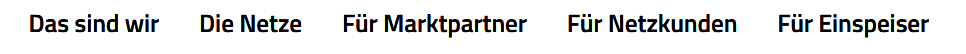 Screenshot der Metanavigation twl-netze.de